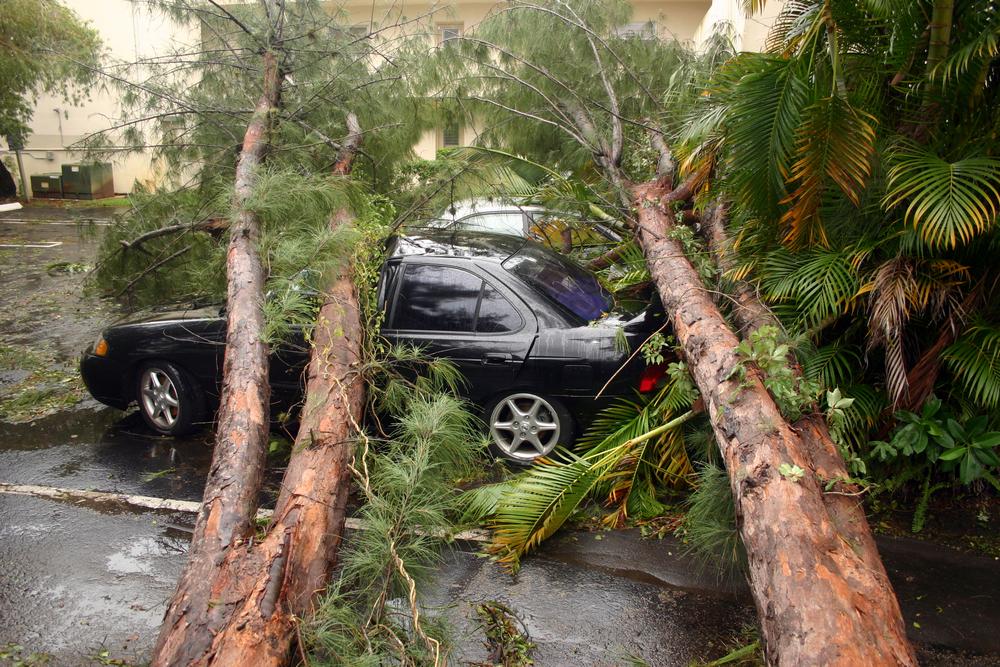 Liability Coverage Liability Coverage